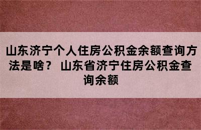 山东济宁个人住房公积金余额查询方法是啥？ 山东省济宁住房公积金查询余额